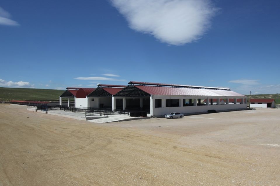 Modern hayvan pazarı açılış için gün sayıyor 