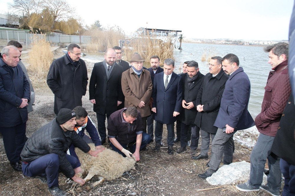 Mogan Gölü’ne yeni düzenleme 