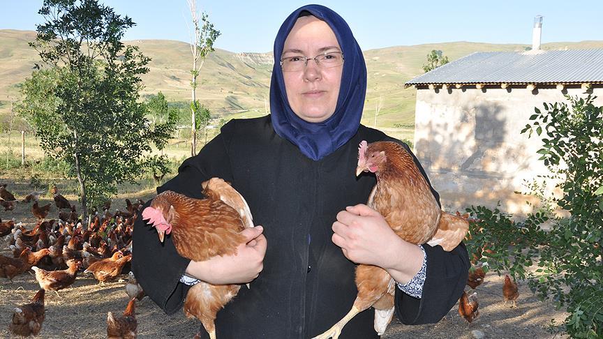 Moldovalı gelin tavuk çiftliği sahibi oldu