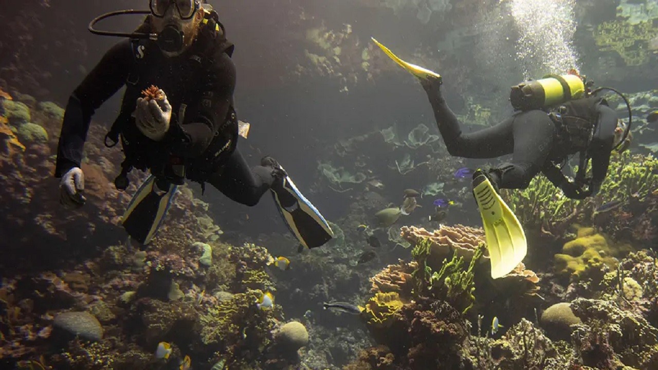 Monaco’da "Nuh’un Gemisi" projesi