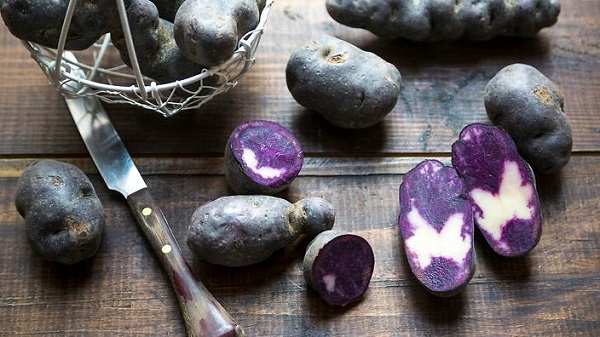 Mor patates nedir? Bu patates zararlı mıdır?