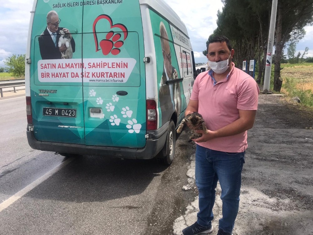 Motora sıkışan kedi 70 kilometre sonra fark edildi 