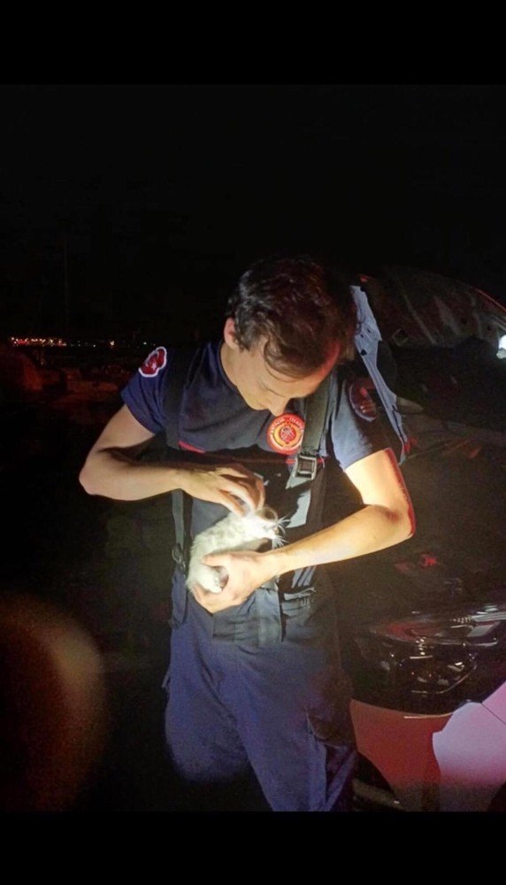 Motora sıkışan yavru kediyi itfaiye kurtardı 