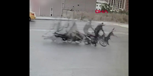 Motosikletli kağıt toplayıcı köpeğe böyle çarptı!