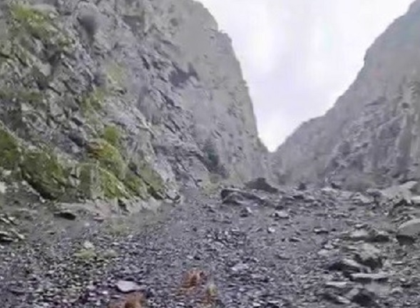 Motosikletli vatandaşı ayı böyle kovaladı