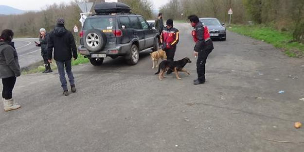 Motosikletlilerden sokak hayvanları için örnek davranış