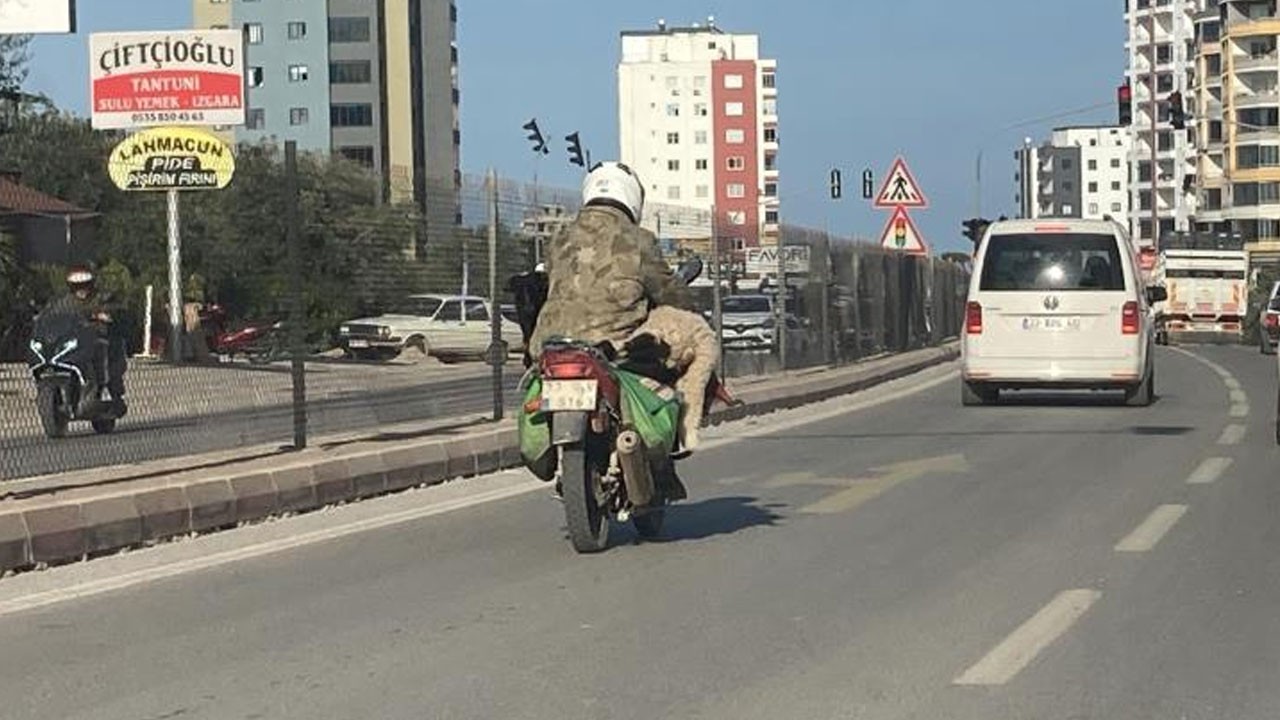 Motorsikletle koç taşıdı! O anlar kamerada