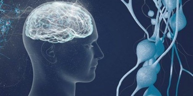 MS hastalığı nedir? MS hastalığı belirtileri nelerdir?