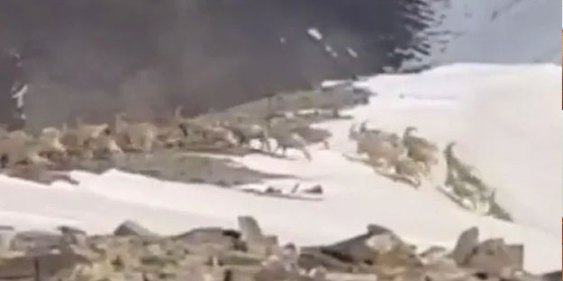 MSB paylaştı! Terörden temizlenen bölge 