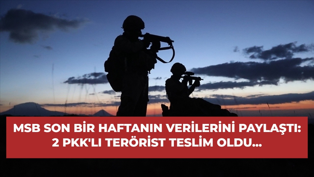 MSB son bir haftanın verilerini paylaştı: 2 PKK'lı terörist teslim oldu