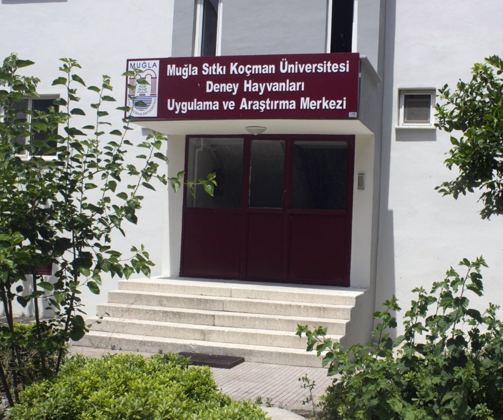 MSKÜ-MUDEM faaliyetlerine başladı 