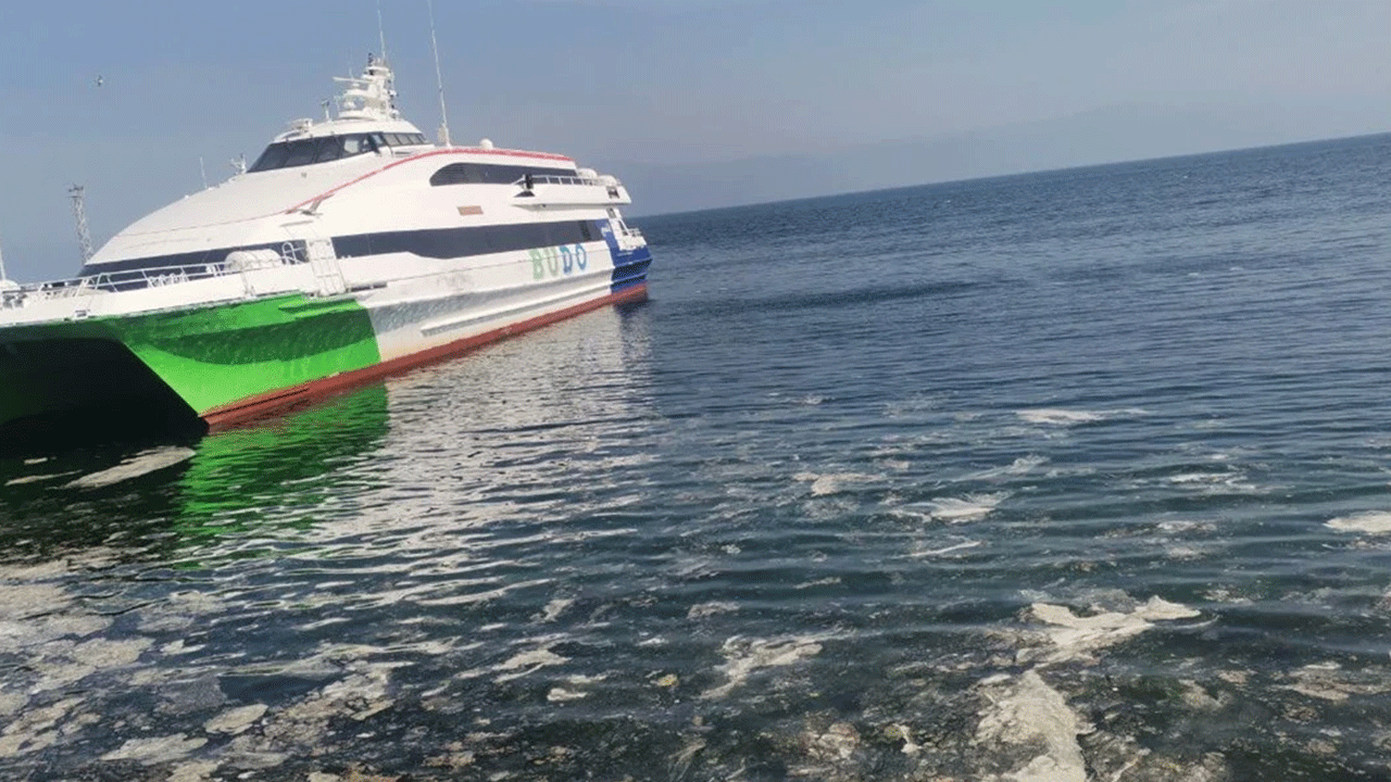 Mudanya'da müsilaj geri döndü! Ekipler alarm durumuna geçti!