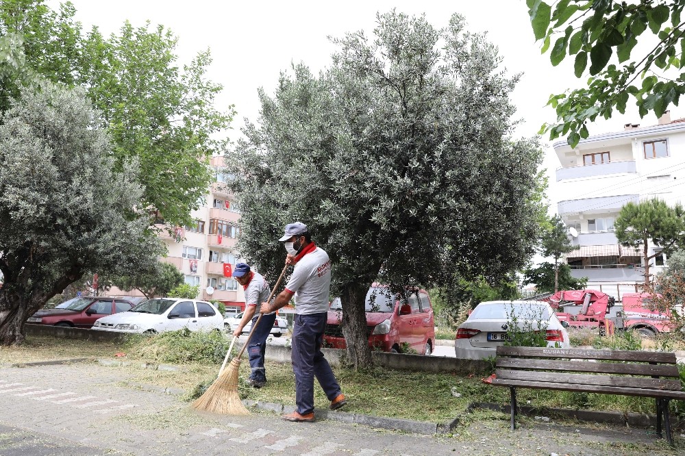 Mudanya’da yaz temizliği 