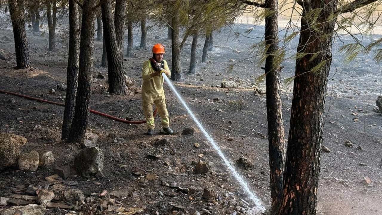Muğla Menteşe'de arazi yangını: Ekiplerin müdahalesi sürüyor