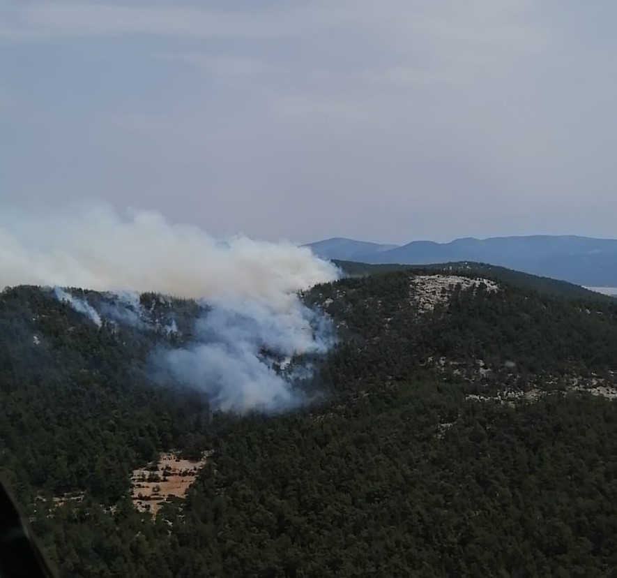 Muğla Milas’ta orman yangını 