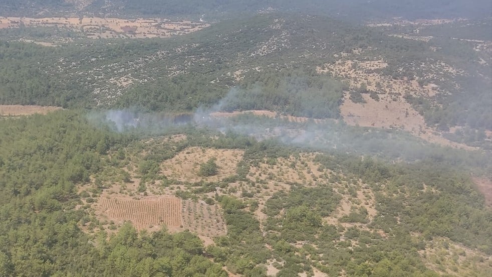 Muğla'da çıkan orman yangınından iyi haber geldi