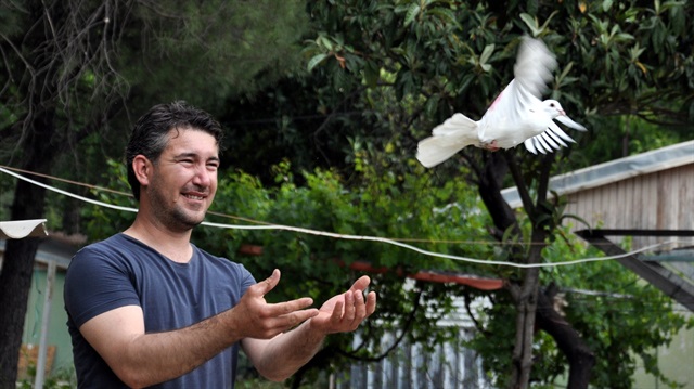 Muğla'da eşine hala güvercinle haber yolluyor