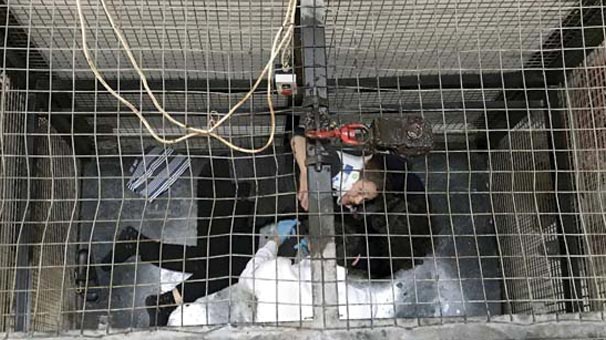 Muğla'da feci görüntüler! 3. kattan düşen asansörde can pazarı