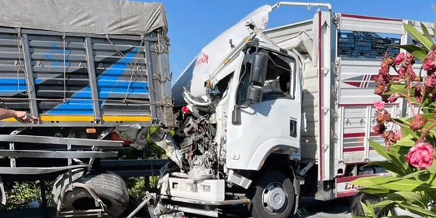 Muğla'da feci kaza: Ölüler var