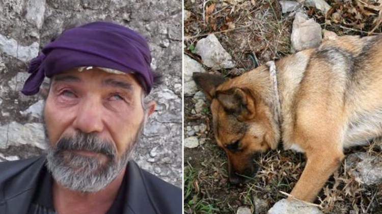 Muğla'da hem gözleri hem arkadaşı olan köpeği zehirlediler