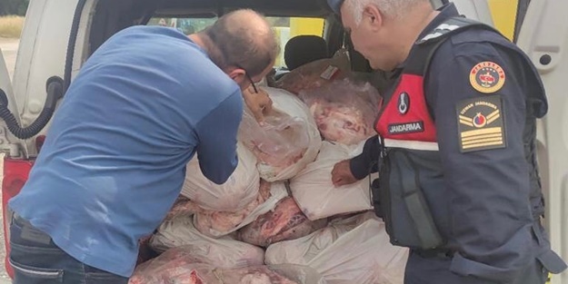 Muğla'da kaçak hayvansal ürünler ele geçirildi