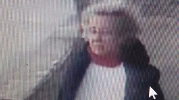 Muğla'da köpekleri zehirledi! Gülerek uzaklaştı...