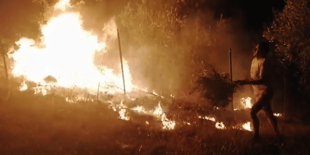 Muğla'da korkutan orman yangını