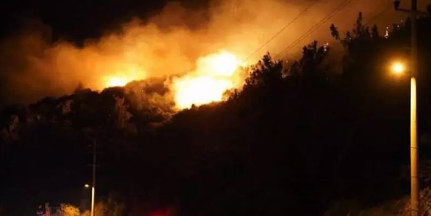 Muğla'da korkutan yangın