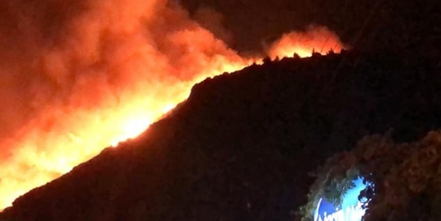 Muğla'da korkutan yangın! Yerleşim yerlerine 200 metre kaldı