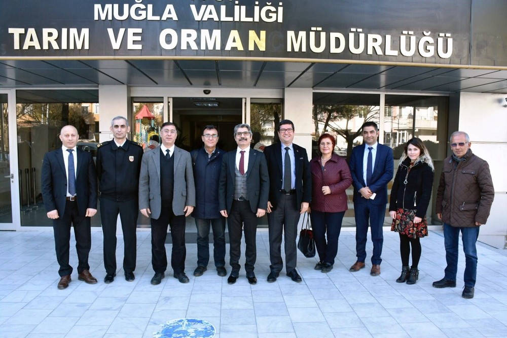 Muğla’da meralarda hayvan otlatma ücretleri düşürüldü 