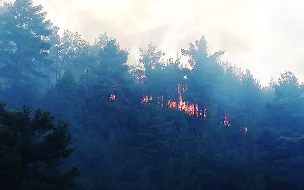 Muğla’da orman yangını 