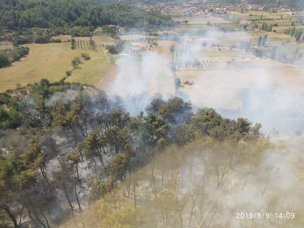 Muğla’da orman yangını 