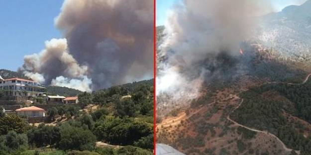 Muğla'da orman yangını! Çevre illerden takviye ekip istendi