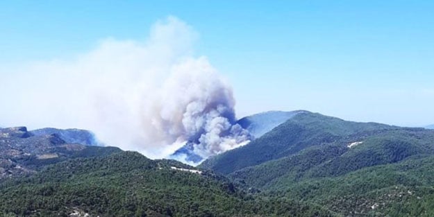 Muğla'da orman yangını! Ekipler müdahale ediyor