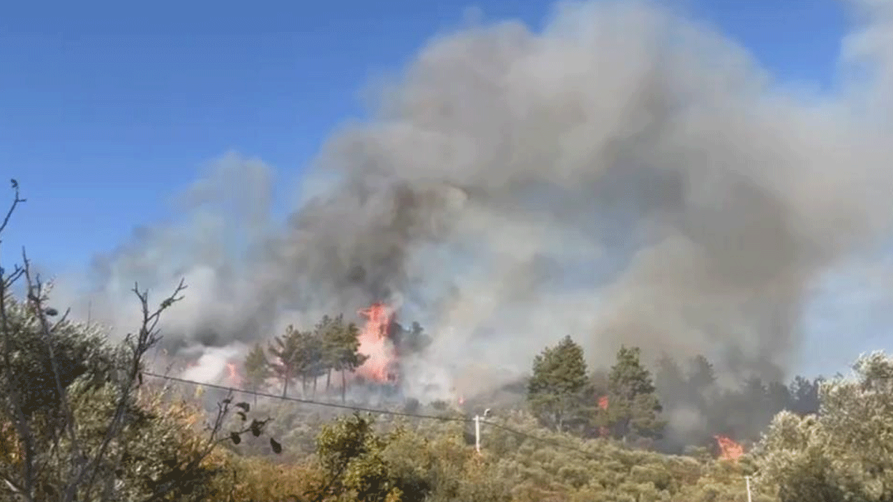 Muğla'da orman yangını: Ekipler olay yerinde