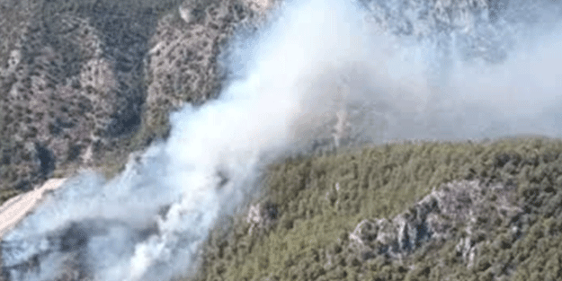 Muğla'da orman yangını