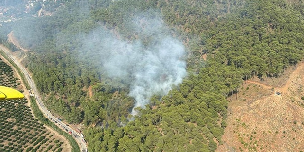 Muğla'da orman yangını!