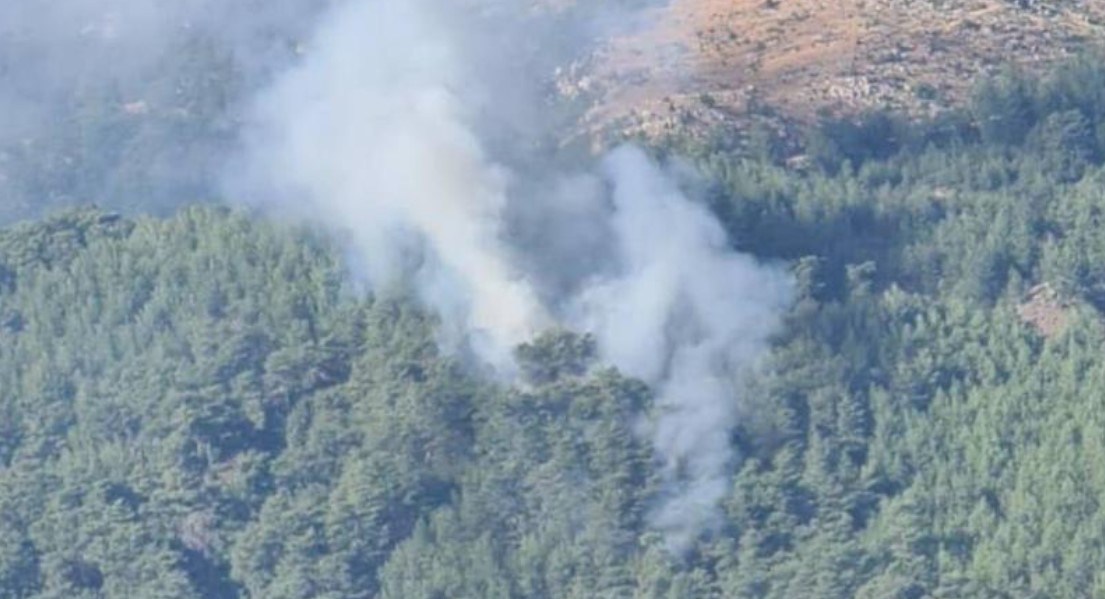 Muğla'da orman yangını