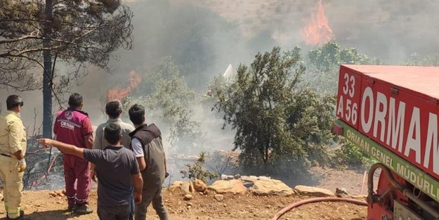 Muğla'da orman yangını