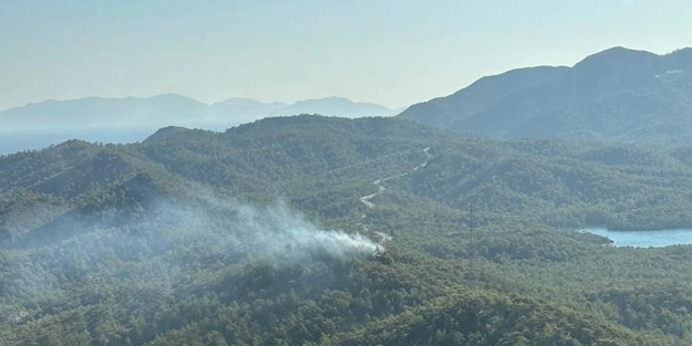 Muğla'da orman yangını