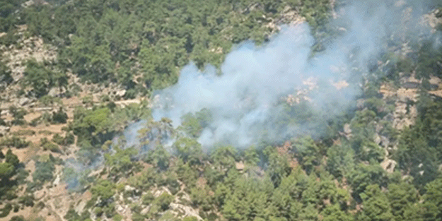 Muğla'da orman yangını
