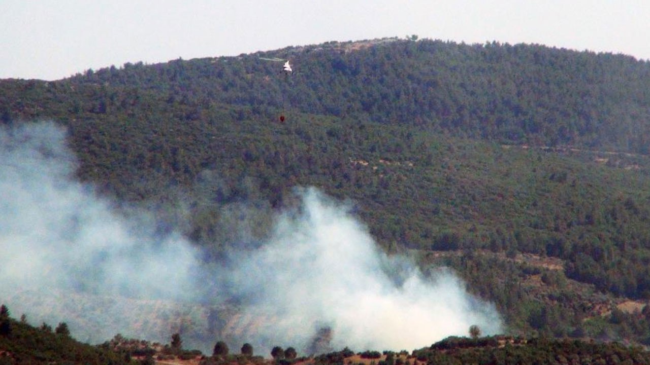 Muğla'da orman yangını