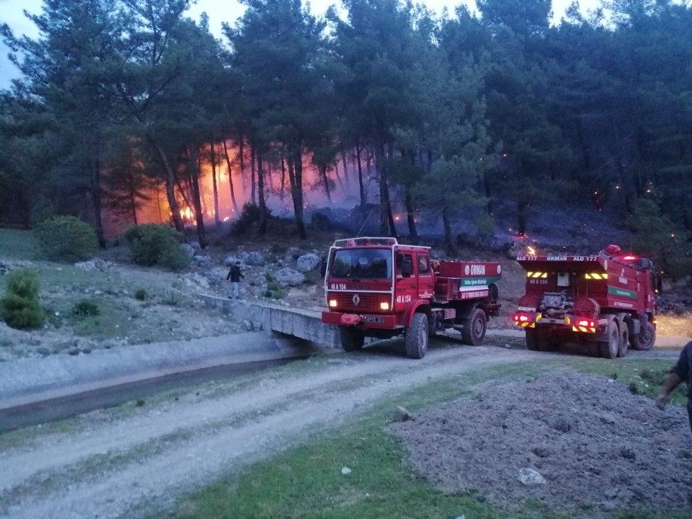 Muğla’da orman yangınları erken başladı 