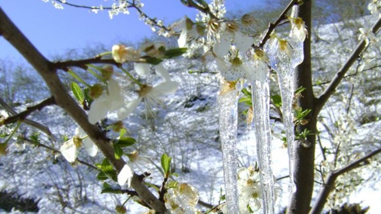 Muğla'da Sıcaklıklar Sıfıra Düşecek