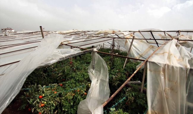 Muğla'da şiddetli rüzgar