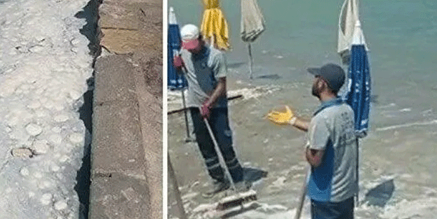Muğla'da tedirgin eden görüntü! Şezlonglara kadar ulaştı