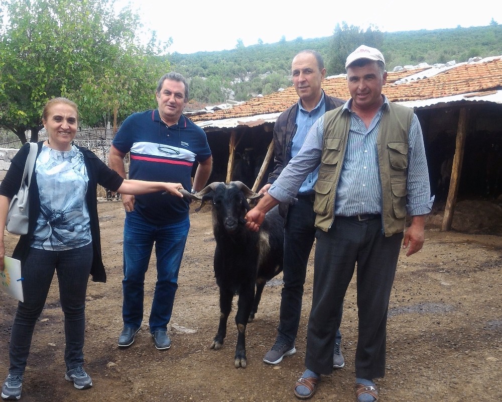 Muğla’da ‘teke değişim’ projesi 