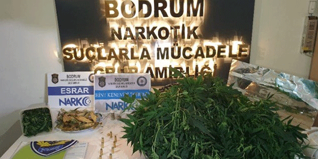 Muğla'da uyuşturucu operasyonu