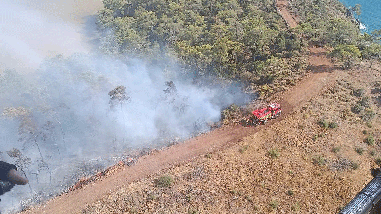 Muğla'da yangın çıktı
