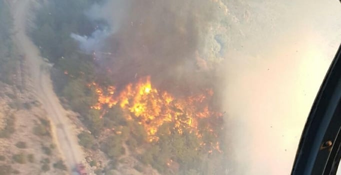 Muğla'da ziraat arazisinde çıkan yangın ormana sıçradı